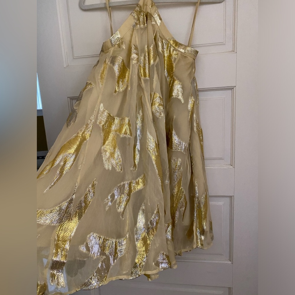 Anthropologie Pinnacle by Shruti Sancheti Sheer Halter Swing Dress Sold Out sz L - Picture 10 of 16